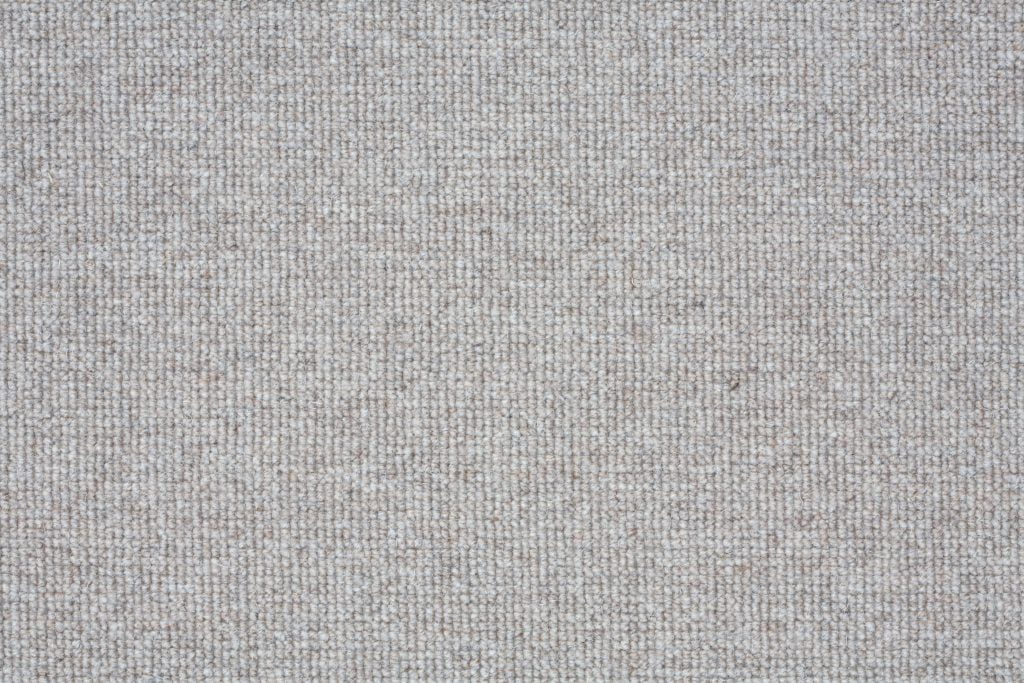 Grey Loop Carpet 