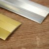 Flat cover strip door