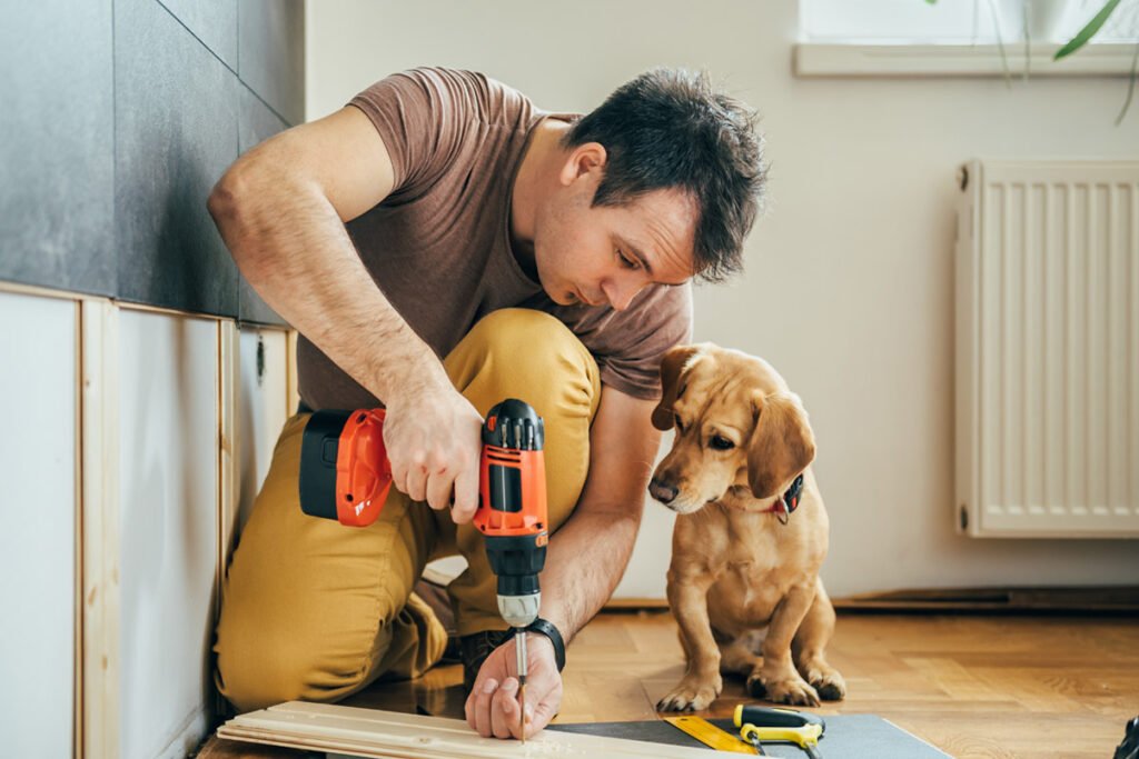 What to do with pets during home renovation